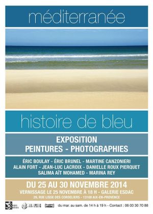 Danielle Pierquet Histoire de bleu